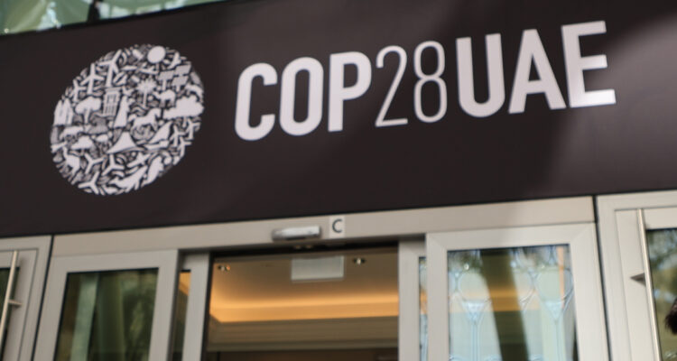 Empresa CMPC participa en la COP28 de Dubai: biodiversidad y capital natural serán temas centrales