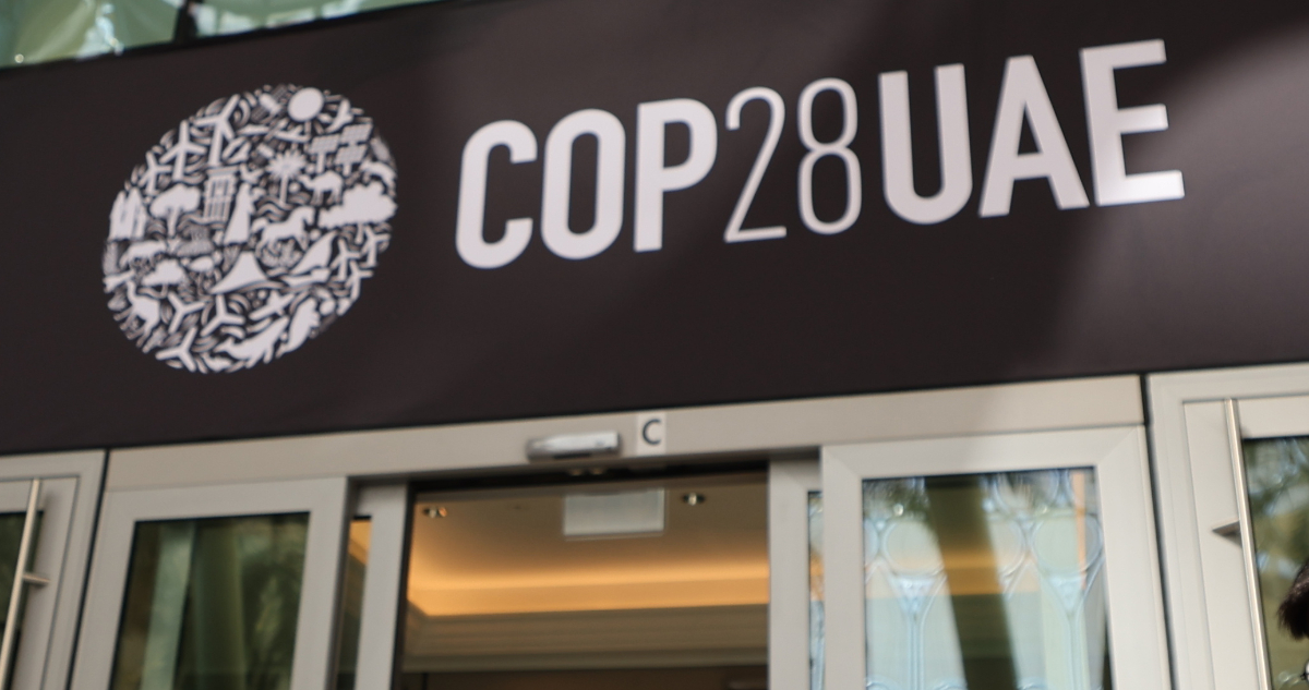 Empresa CMPC participa en la COP28 de Dubai: biodiversidad y capital natural serán temas centrales