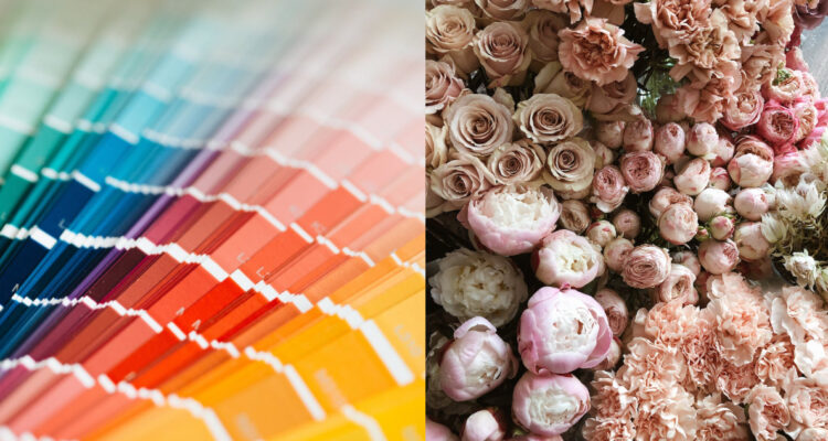 Pantone anunció el color oficial del año 2024