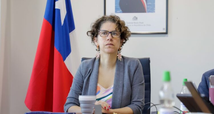 Comité de ministros mantiene calificación desfavorable de planta de incineradora de Lautaro