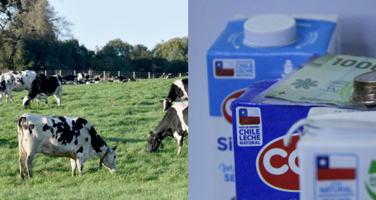 Informe del INE confirma caída en recepción de la leche: productores apuntan a efectos climáticos