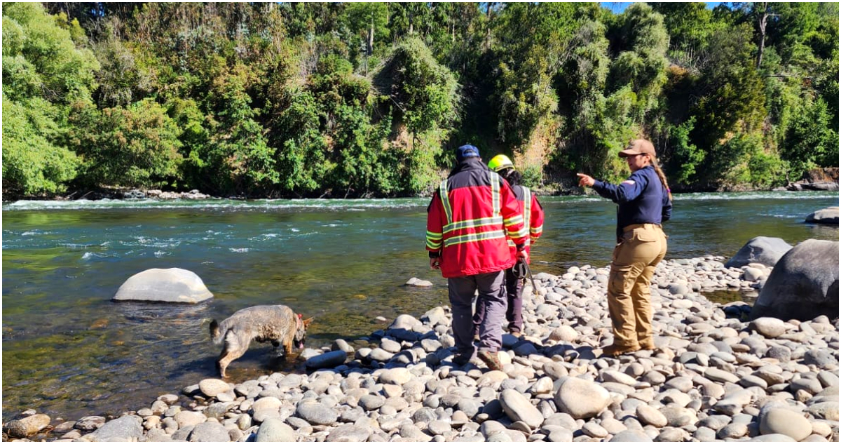 Continúa desesperada búsqueda de joven extraviado en río Cautín: se bañaba junto a sus amigos