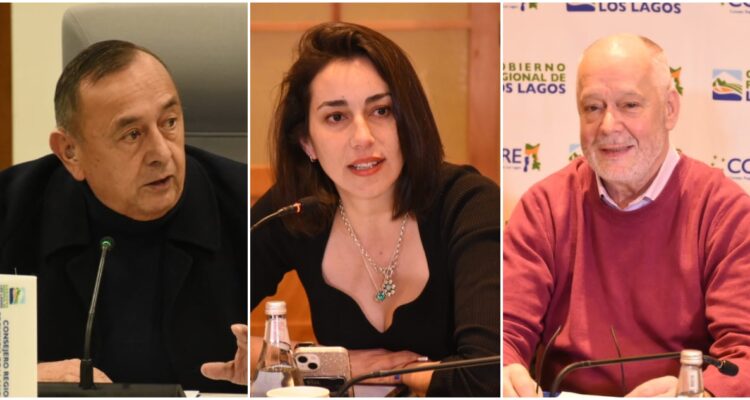 Consejo Regional Los Lagos – Facebook