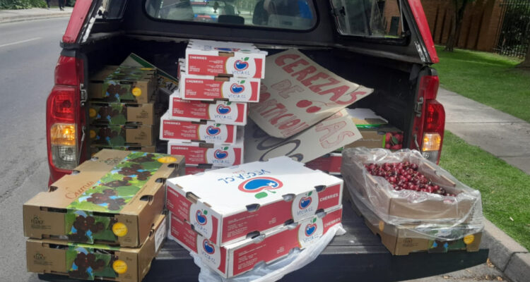 Decomisan cajas de cerezas que comercializaban en calles de Las Condes y multaron a vendedor