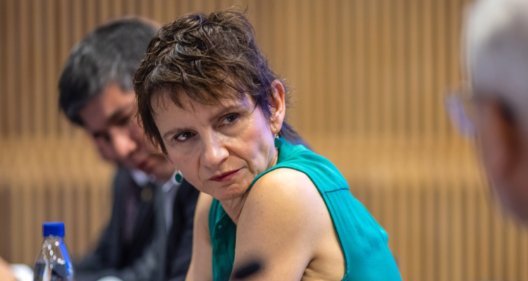 delegaciones presidenciales regionales y provinciales