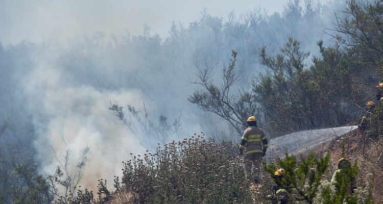 CONTEXTO | Agencia Uno
