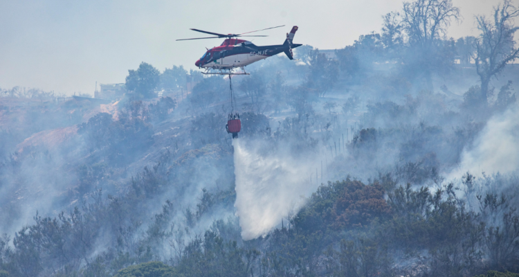 En prisión preventiva queda hombre acusado de participar en incendio forestal de Villa Alemana