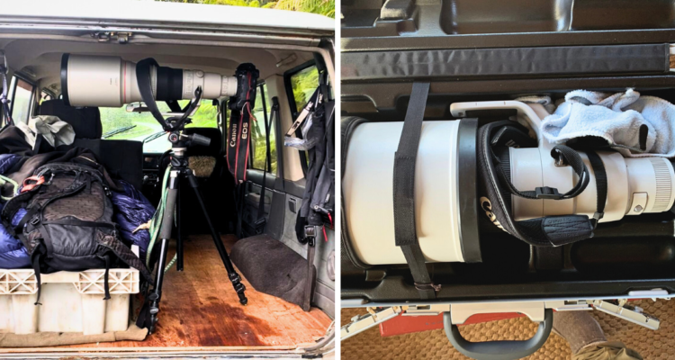 Roban lente fotográfico en Los Lagos: existen solo diez de estos dispositivos en todo Chile