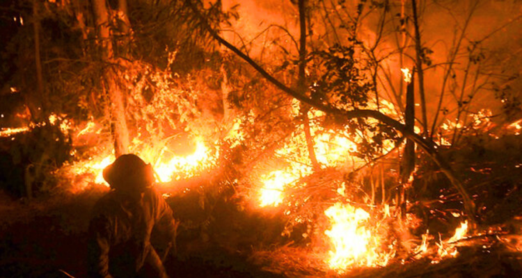 Detienen a hombre acusado de ocasionar incendio en pastizales en Mulchén