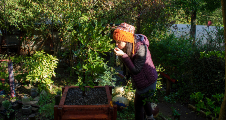 Fundación El Árbol