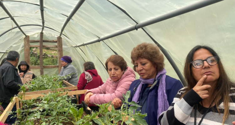 Juntas de Vecinos del Gran Concepción conocieron experiencias de huertas y composteras comunitarias