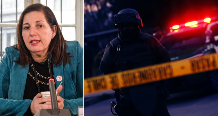 seguridad pública y delincuencia