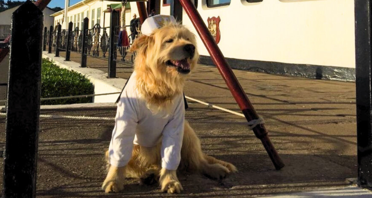 Grumetes de Isla Quiriquina despiden con honores a Chasca, querida mascota de la Escuela