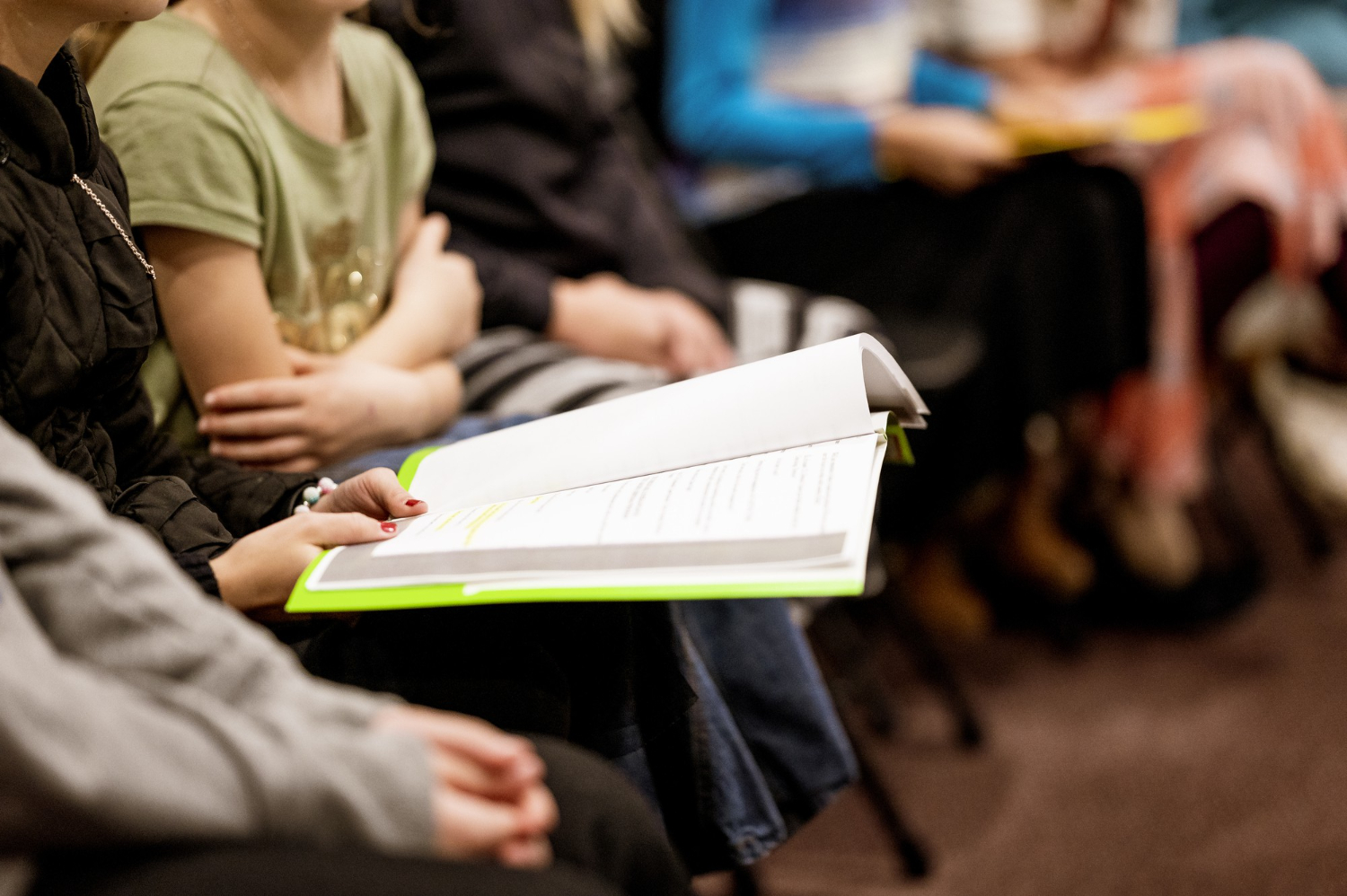 Gratuidad Educación Superior