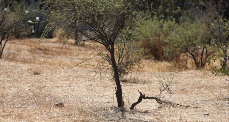 Gobierno extiende emergencia agrícola desde Atacama a Magallanes por déficit hídrico