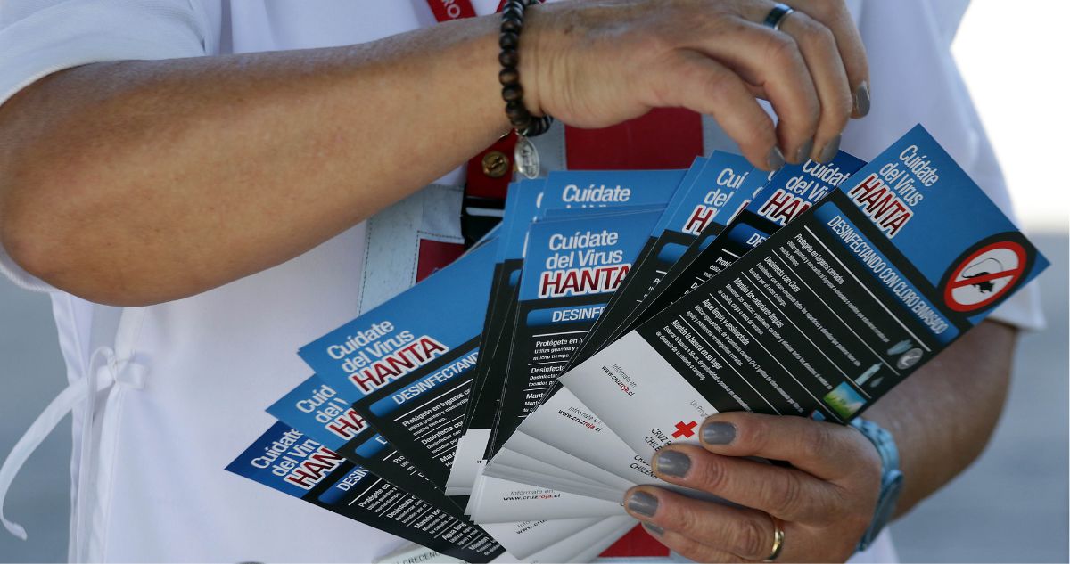 Previo a temporada estival: inician campaña para prevenir enfermedades zoonóticas en Los Lagos