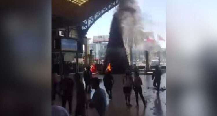 Queman árbol de Navidad tras desalojo de ambulantes en Plaza Argentina de Estación Central