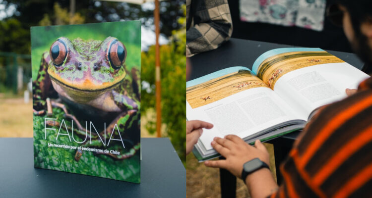Santander y Museo Chileno de Arte Precolombino lanzan libro gratuito sobre fauna endémica chilena