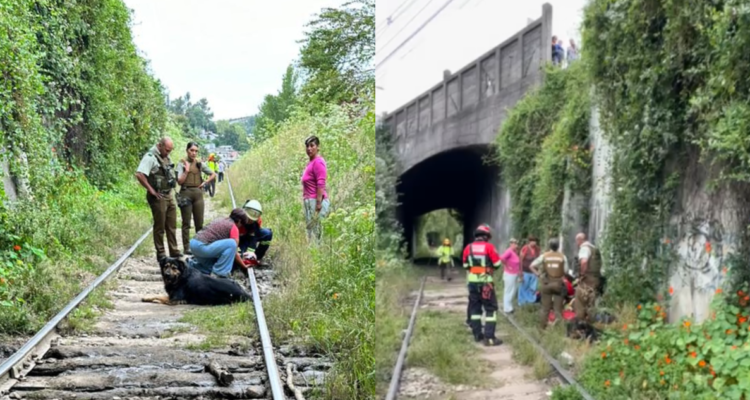 Adulto mayor cae desde 10 metros a línea férrea en Lota: mantiene diversas lesiones