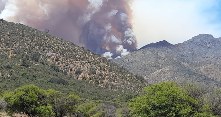 Incendio forestal en Quilpué: suben a 1.900 hectáreas arrasadas y sigue Alerta Amarilla en Marga Marga