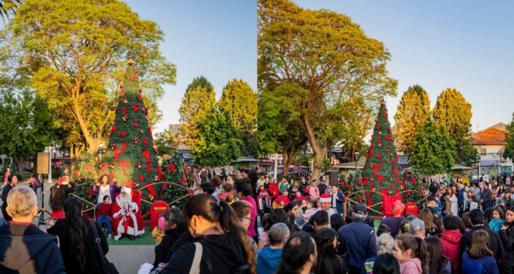 Polémica por árbol de Navidad en Quilpué: ediles cuestionan arriendo por casi $20 millones