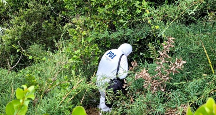 Niños encuentran cadáver mientras jugaban fútbol en sector alto de Viña del Mar