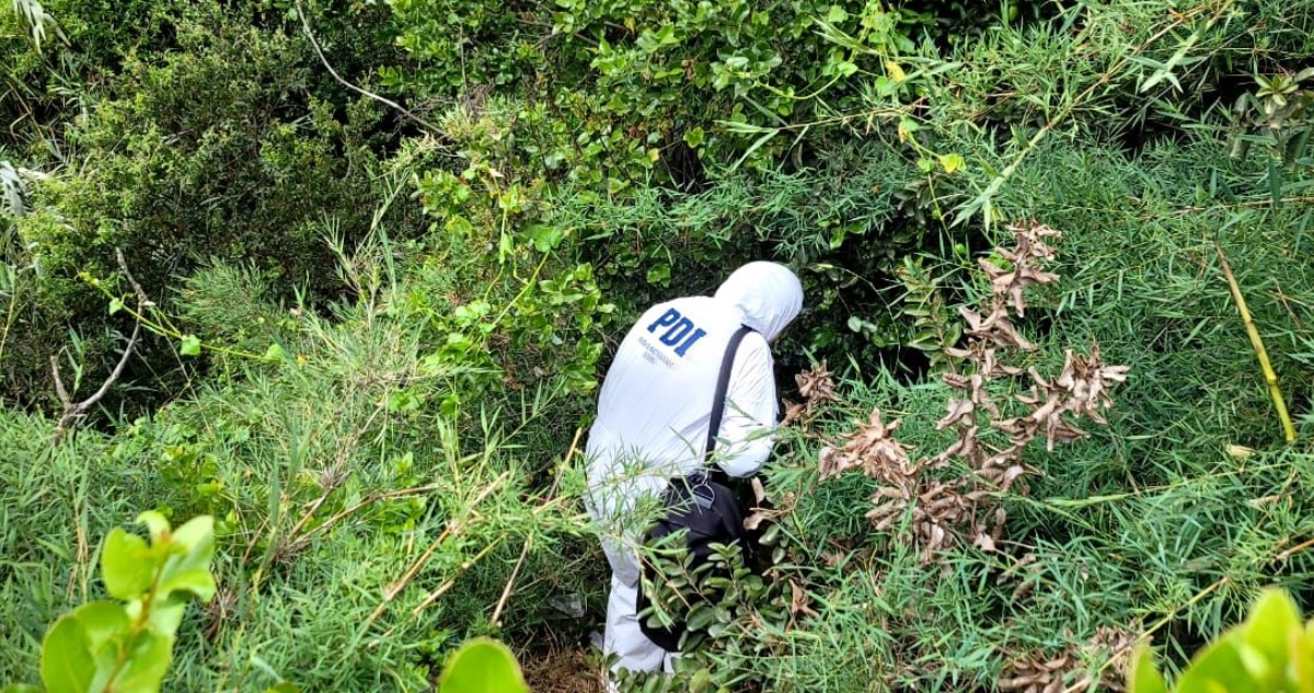 Niños encuentran cadáver mientras jugaban fútbol en sector alto de Viña del Mar