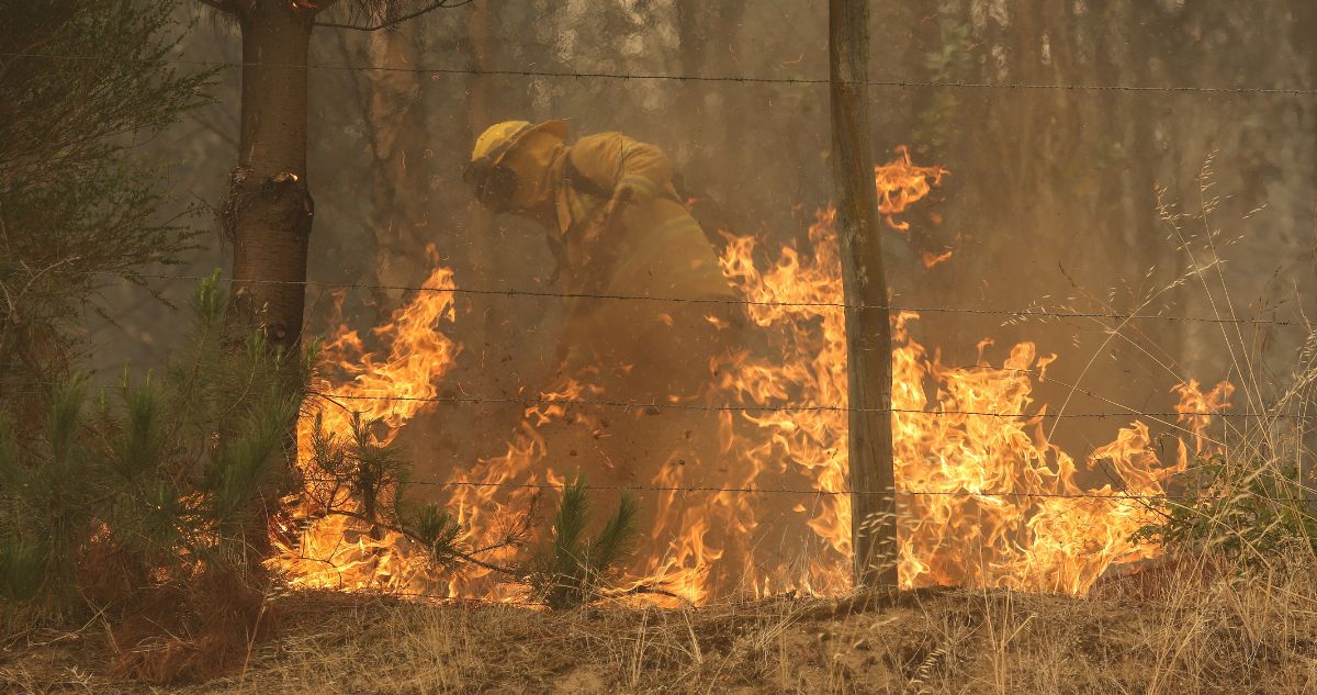Incendio forestal en Cuesta Balmaceda causa preocupación en Valparaíso: decretan alerta amarilla
