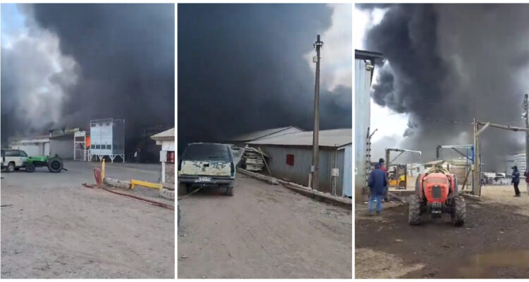 Incendio de gran envergadura destruye empresa de packing en El Olivar, región de O’Higgins