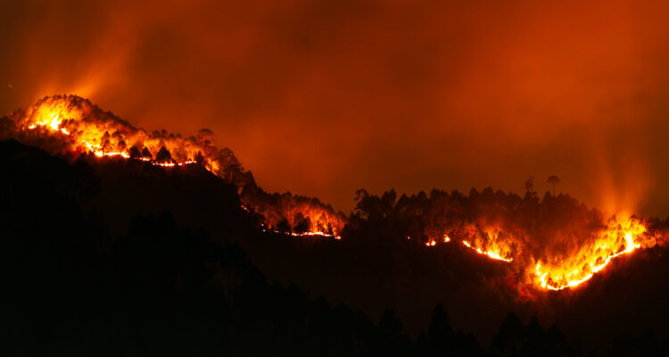 “Las temperaturas se están manteniendo muy altas”: Experto explica cómo enfrentar incendios en verano