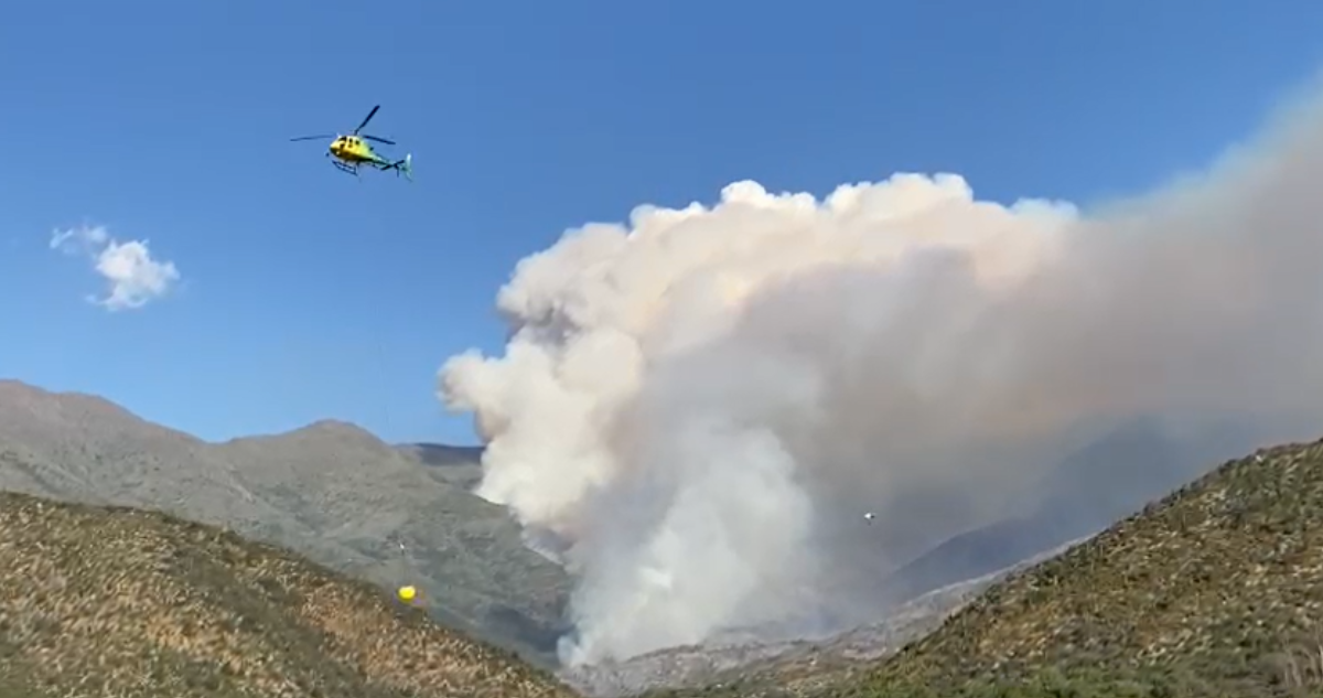 Aumentan a 1.200 las hectáreas afectadas por incendio forestal en sector Colliguay de Quilpué