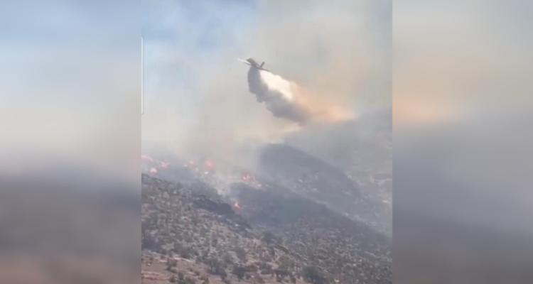 incendio forestal Los Andes