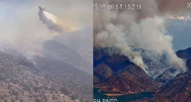Incendio forestal El Parrón ha consumido al menos 80 hectáreas en María Pinto al poniente de la RM