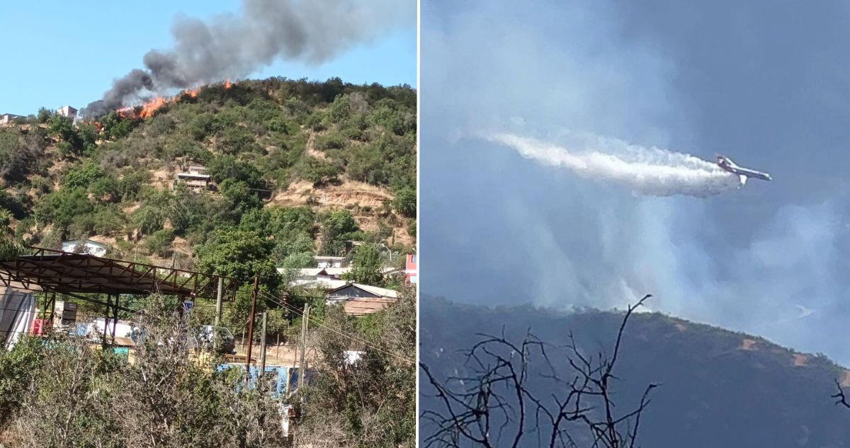 Reportan incendio forestal en Olmué: Aero Tanker trabaja en el lugar