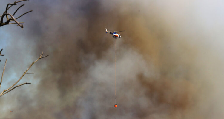“Será peor”: director de Conaf RM advierte que incendios forestales serán simultáneos esta temporada