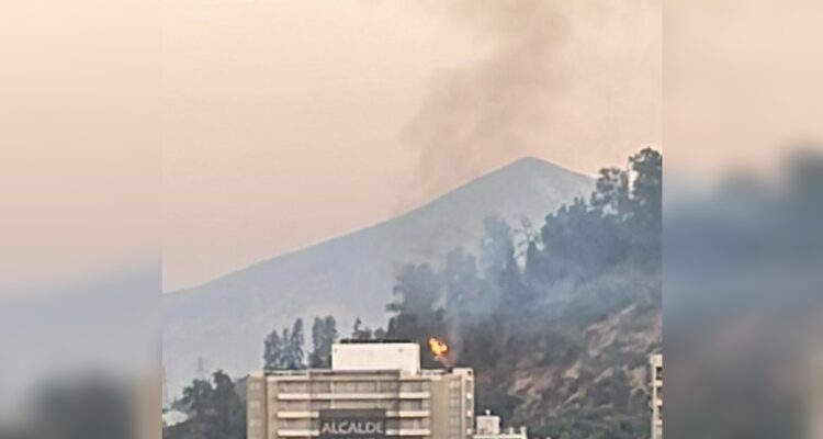 Se reactiva incendio forestal en el cerro San Cristóbal: Bomberos trabaja para controlar el fuego