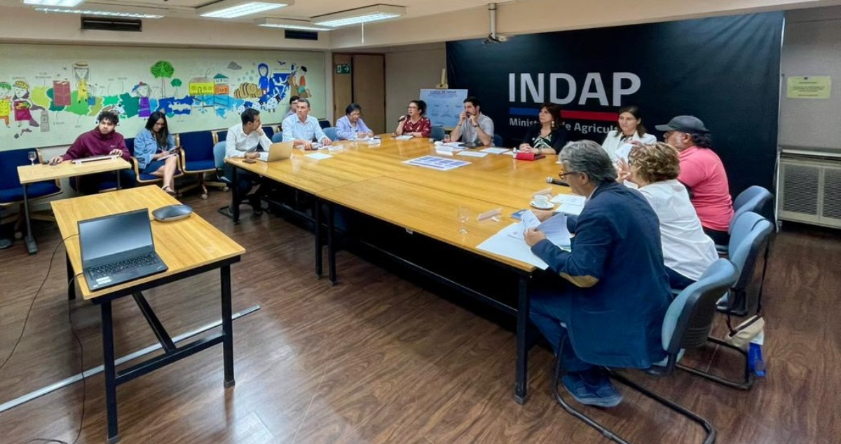 Constituyen nuevo Cosoc