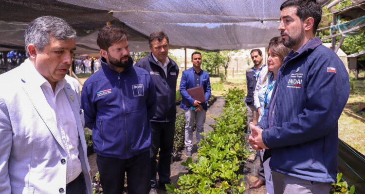 “Mi Primer Negocio Rural”: Indap lanza piloto en Los Ríos para impulsar desarrollo de jóvenes rurales