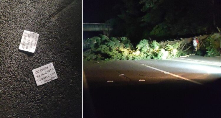 Barricadas en Ruta del Itata en Bío Bío: reportan ataque incendiario y corte de camino con árbol