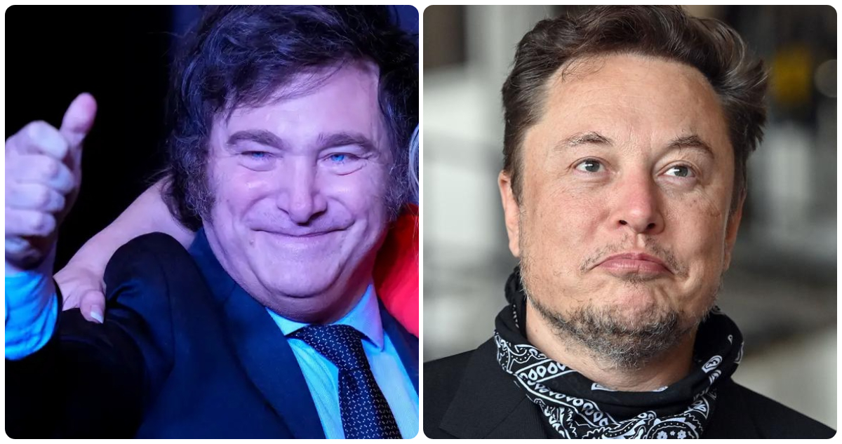 Javier Milei y Elon Musk