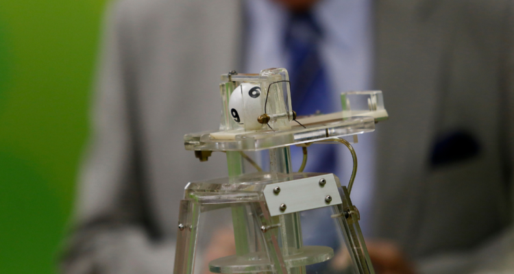 Revisa los nuevos rut ganadores de “La Suerte en Chile” de la Polla Chilena de Beneficencia