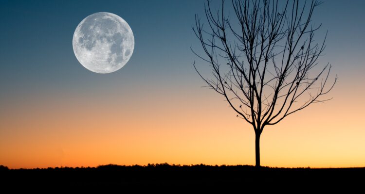 Luna Llena diciembre 2023