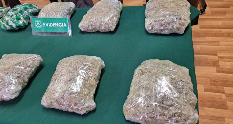 extranjeros sorprendidos con 16 kilos de marihuana cripy en ruta 5 sur
