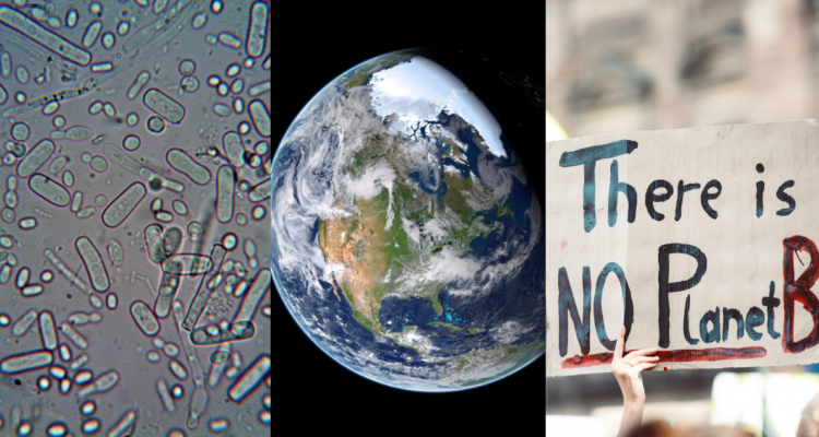 Microorganismos podrían extinguirse debido al calentamiento global, revela nuevo estudio