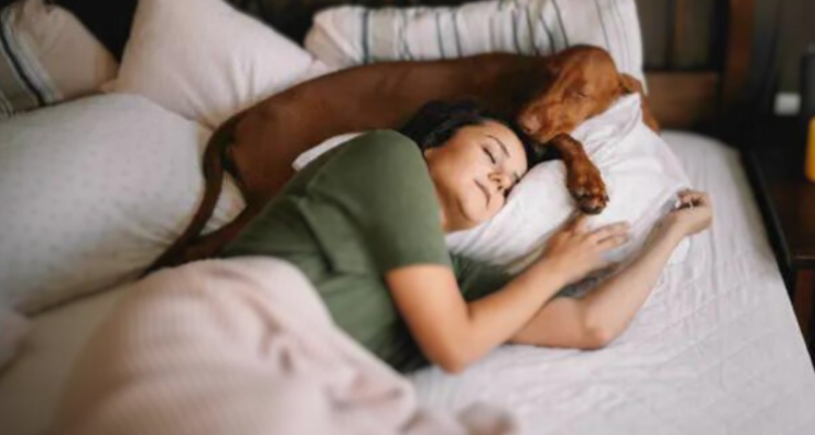 Mujeres prefieren dormir con su perro con que su pareja según estudio: son mejores compañeros de cama