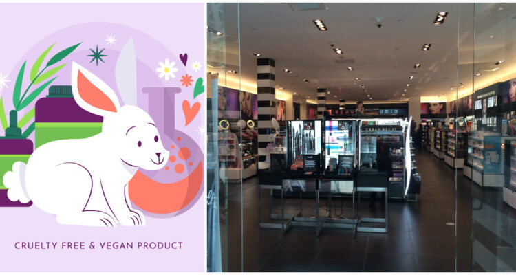 Avanza en el Senado el proyecto que prohíbe a las empresas cosméticas en Chile el testear en animales