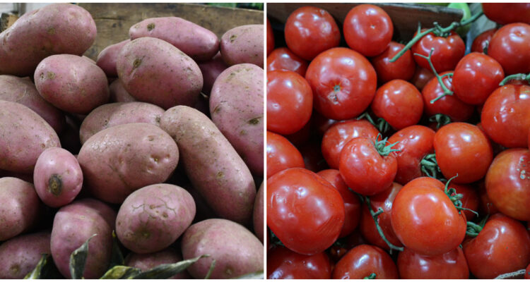 Gobierno destaca caída de precios de papas y tomates: prevé un 2024 con mejores valores de alimentos