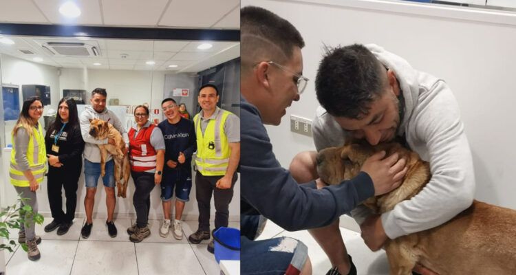 Rescatan a perrita perdida en la vía del Metro de Santiago y se reencontró con su dueño