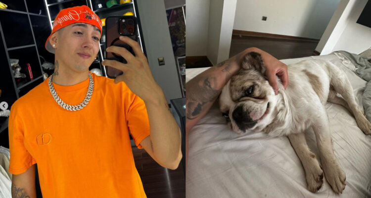 Pailita reveló que sufrió una dura pérdida: “Uno perros mataron a mi perrito, se me fue mi amigo”