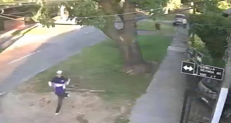 Delincuencia suma nueva víctima fatal: muere vecino atropellado durante portonazo en Ñuñoa